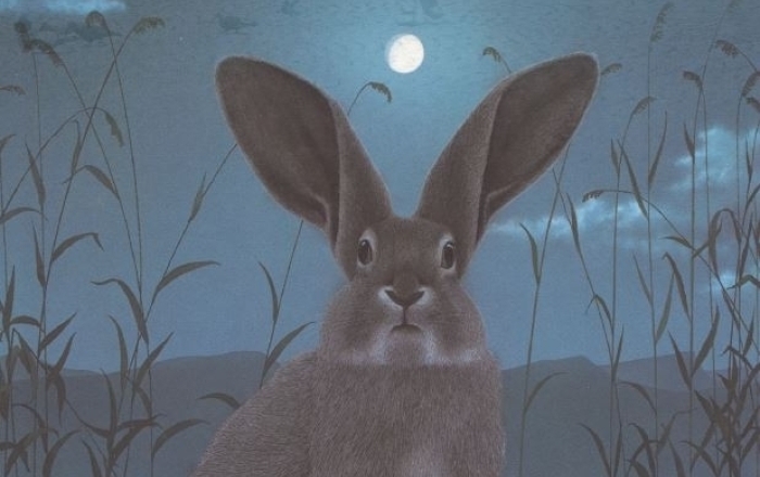 JÖRG STEINER • JÖRG MÜLLER Kinderbücher