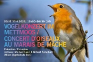 Vogelkonzert im Mettmoos