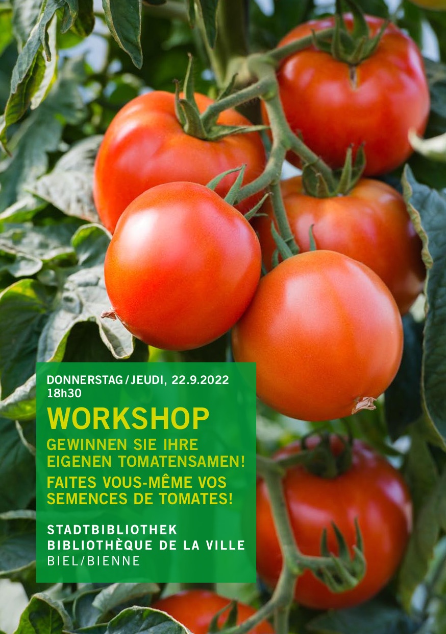 Ateliers tomates