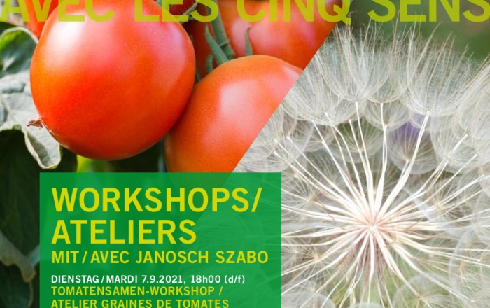 Ateliers graines – avec les cinq sens 