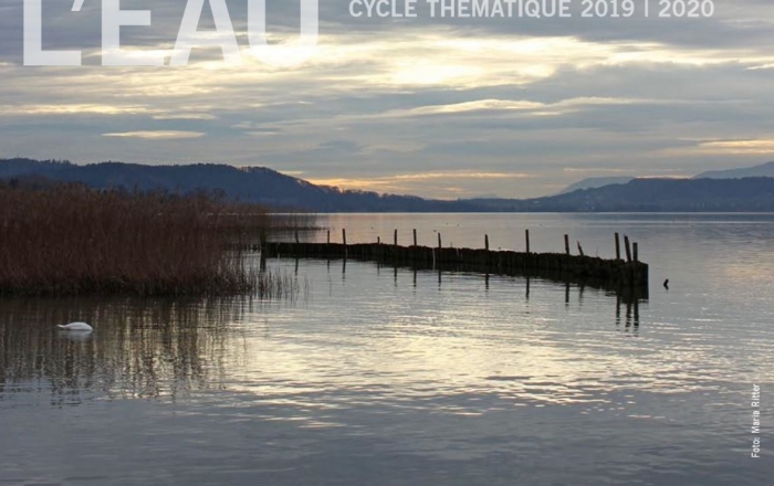 Le lacustre imaginé